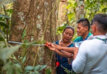Un catálogo para identificar especies forestales fue lanzado