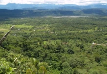 Pastaza: Paz Yaku conserva el bosque 