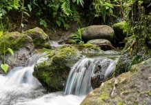 Ecuador accede a USD 23 millones para fortalecer resiliencia climático