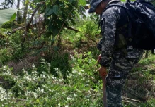 Policía destruyó una hectárea de hoja de coca en San Lorenzo