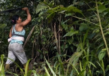 La OTCA y FAO buscan mejorar los sistemas agroalimentarios en la Amazonía
