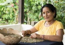 Expertos europeos cooperarán para mejorar competitividad del café ecuatoriano