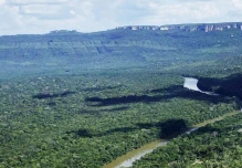 Deforestación pone en riesgo la conectividad ecológica de parque clave en Colombia