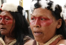 En el Parque Nacional Yasuní se impulsan actividades educativas