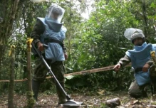 Ecuador y Perú destruyen 852 minas antipersonales en zona de Tiwintza