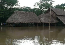 294 familias afectadas por lluvias en Pastaza