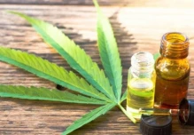 Ecuador podría recibir $ 200 millones en inversiones relacionadas con el cannabis