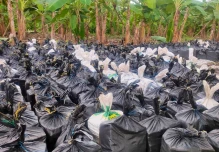 Las toneladas de cocaína decomisadas en Vinces subieron a 22 