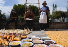 La FAO distinguió sistemas agrícolas chakra de la Amazonía y de los Andes