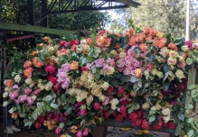 Florícolas en un bache cada vez más hondo