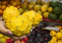 Pitahaya lidera el auge de las exportaciones de frutas tropicales