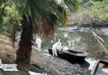 Estero Salado, contaminado por aceite, muestra "signos de recuperación ambiental" 
