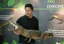 Un pedazo de la Amazonía en la capital
