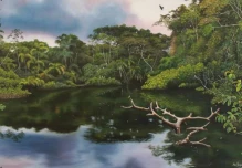 El espíritu de la Amazonía se presenta en una exposición