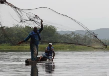 Perú entregó millones de crías de peces en la Amazonía