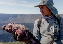 Expertos preparan proyecto de conservación de la iguana rosada en Galápagos