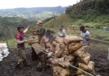 Ecuador ha perdido más de 200 millones por minería ilegal en Buenos Aires, Imbabura