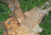 Napo: Concesiones mineras de TerraEarth Resources fueron suspendidas 