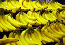 Unión Europea impone salvaguardia al banano ecuatoriano