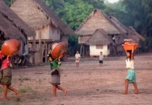 Guardias indígenas de la Amazonía se refuerzan ante crecientes riesgos territoriales