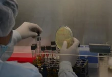 Bacterias nativas comen el petróleo y remedian suelos contaminados en Ecuador