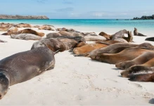 Galápagos, en la lista de 'Los Mejores Viajes del Mundo 2018'