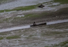 El gran afluente del río Amazonas alcanza su menor caudal de la historia