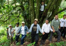 Zamora Chinchipe: 450 árboles ancestrales de cacao han sido identificados