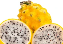 4.779 envíos de pitahaya se han logrado en 2023
