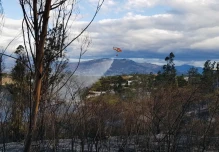 16.000 hectáreas han ardido en Ecuador en las últimas 2 semanas 