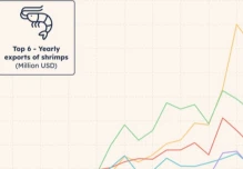 Ecuador es el principal exportador de camarón del mundo