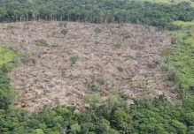 Equipo de Abelardo de la Espriella advierte aumento de la deforestación en parques naturales de Colombia
