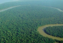 Brasil: Los grupos criminales convirtieron a la Amazonía en la región más peligrosa