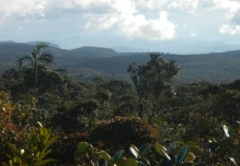 El Quimi, reserva que tiene una biodiversidad poco estudiada en Ecuador