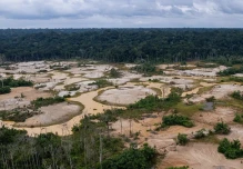 Perú figura entre los países más afectados por la deforestación amazónica en 2025