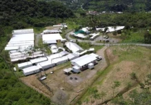 Cascabel se perfila entre las 20 minas más importantes de Latinoamérica