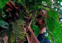 Ecuador: confianza en el anteojo, no en el ojo