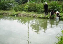 El cultivo de peces ayuda a la conservación