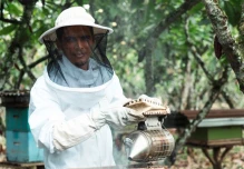 Plan Cacao: la apuesta de Nestlé Ecuador por un agro más sostenible y resiliente