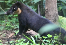 Yanacocha, un santuario de vida silvestre en Pastaza 
