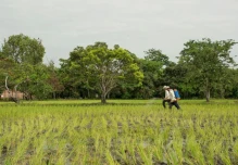 Tensión internacional eleva costos y presiona al agro ecuatoriano
