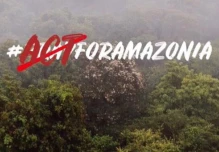 Ecuador envía brigadas de especialistas para mitigar e investigar el incendio en la selva del Amazonas de Brasil 