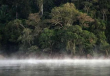 El 68% de las áreas de conservación en la Amazonía está en riesgo
