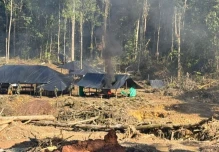 Minería aurífera disparó la deforestación amazónica en 2025