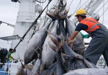 Exportaciones pesqueras de Ecuador marcaron récord histórico en 2025