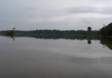 Jatuncocha, la laguna ubicada en el corazón del Yasuní 
