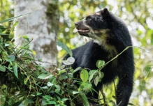 Unesco declaró Reserva de Biósfera al noroccidente de Pichincha