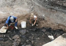 Los huesos gigantes hallados en Loja pertenecen a un perezoso extinto