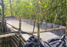 Sucumbíos: Ejército desmantela conexión clandestina de robo de hidrocarburos