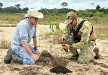 20 hectáreas afectadas por minería ilegal fueron reforestadas en Madre de Dios